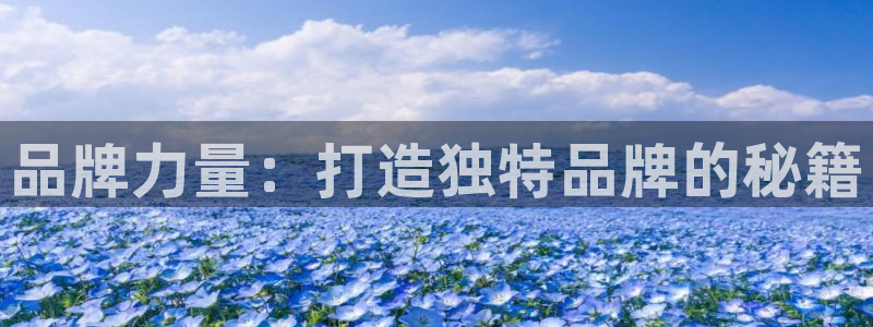 bg大游：品牌力量：打造独特品牌的秘籍