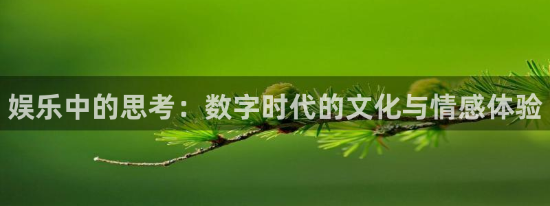 bg大游官网：娱乐中的思考：数字时代的文化与情感体验