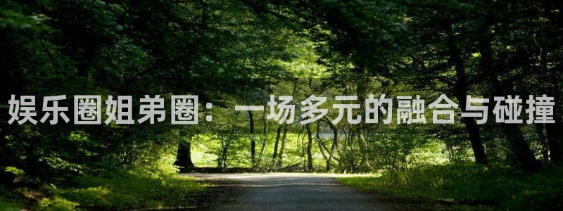 bg大游娱乐：娱乐圈姐弟圈：一场多元的融合与碰撞