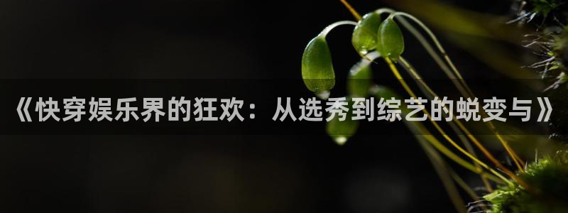 bg大游app：《快穿娱乐界的狂欢：从选秀到综艺的蜕变与》