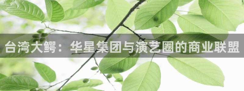 bg大游娱乐官网：台湾大鳄：华星集团与演艺圈的商业联盟