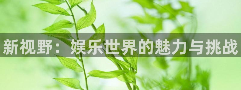 bg大游娱乐官网：新视野：娱乐世界的魅力与挑战