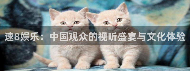 bg大游app：速8娱乐：中国观众的视听盛宴与文化体验