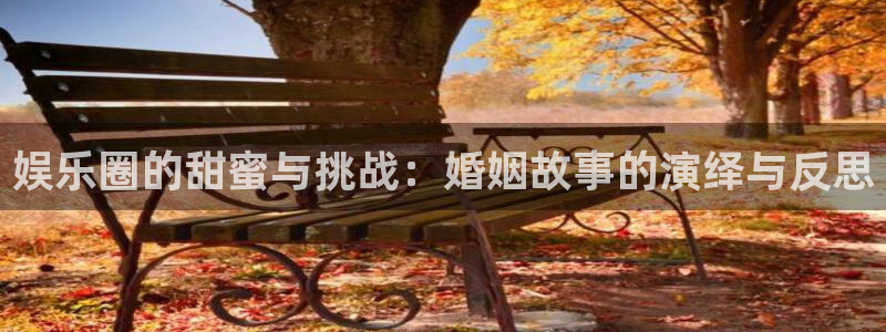 bg大游娱乐：娱乐圈的甜蜜与挑战：婚姻故事的演绎与反思
