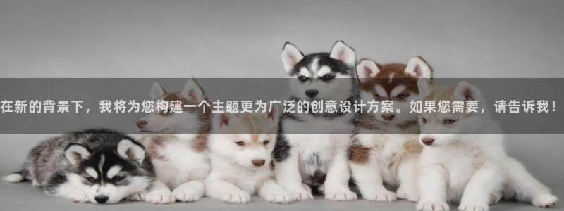 bg大游app