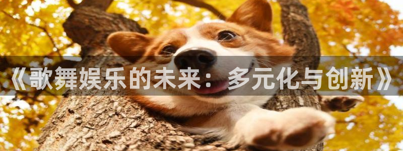 bg大游官方网站