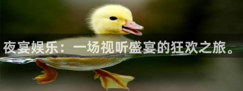 bg大游官网：夜宴娱乐：一场视听盛宴的狂欢之旅。