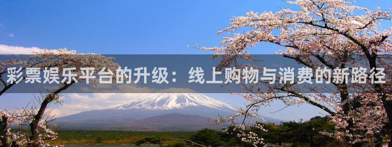 bg大游官方网站：彩票娱乐平台的升级：线上购物与消费的新路径