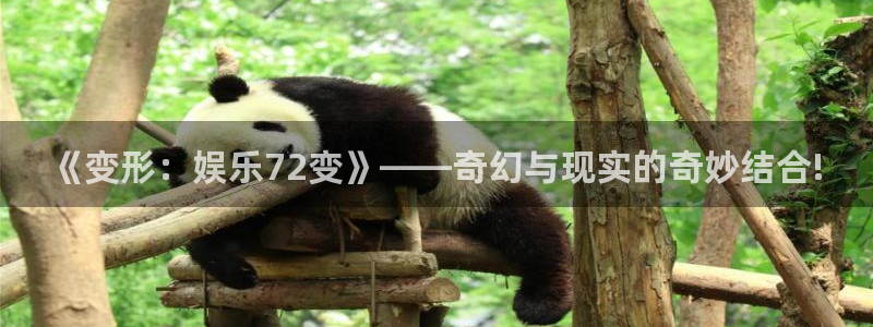 bg大游app