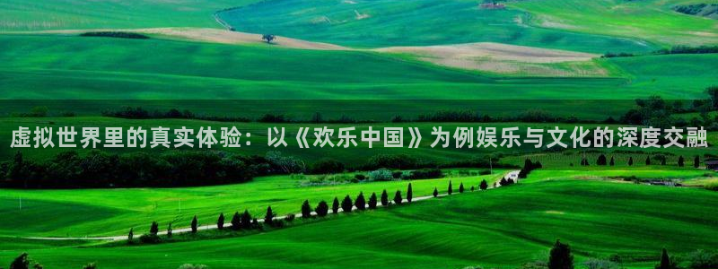 bg大游app：虚拟世界里的真实体验：以《欢乐中国》为例娱乐与文化的深度交融