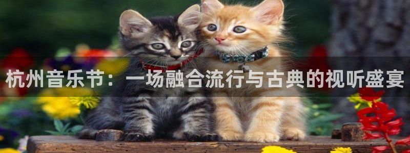 bg大游官方网站：杭州音乐节：一场融合流行与古典的视听盛宴